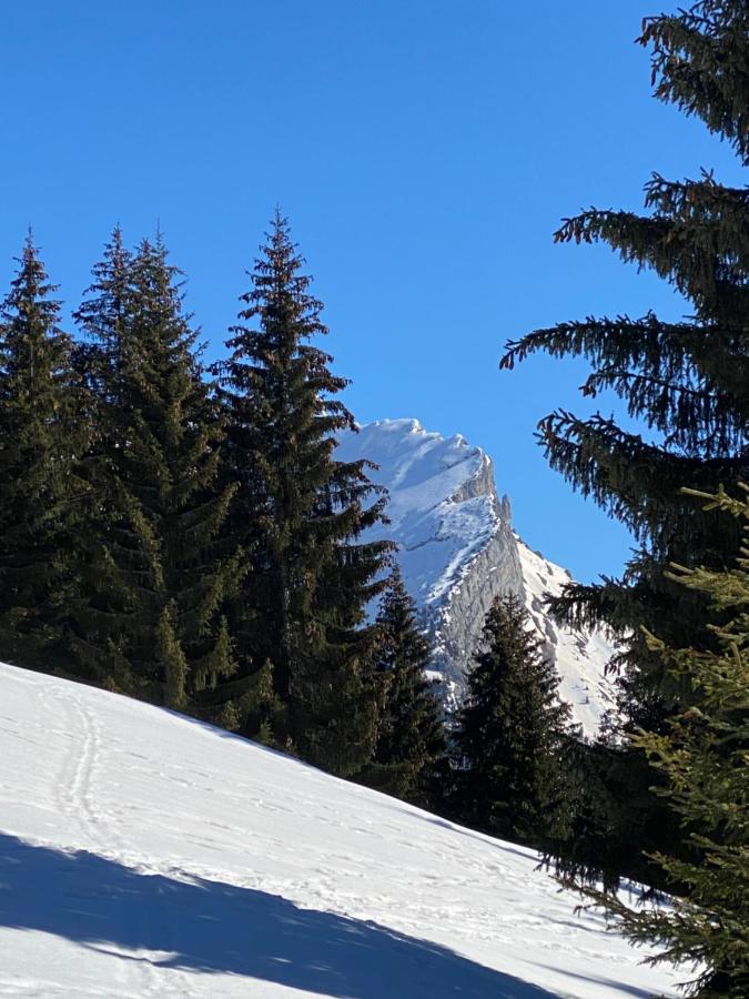 Appartement Les bouquetins à La Clusaz Extérieur photo