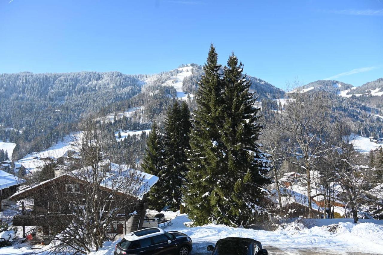 Appartement Les bouquetins à La Clusaz Extérieur photo
