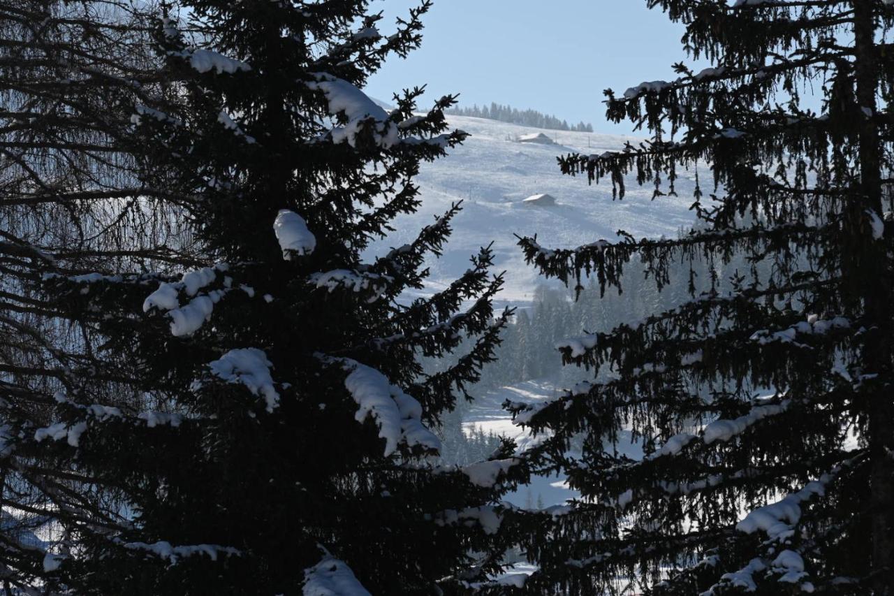 Appartement Les bouquetins à La Clusaz Extérieur photo