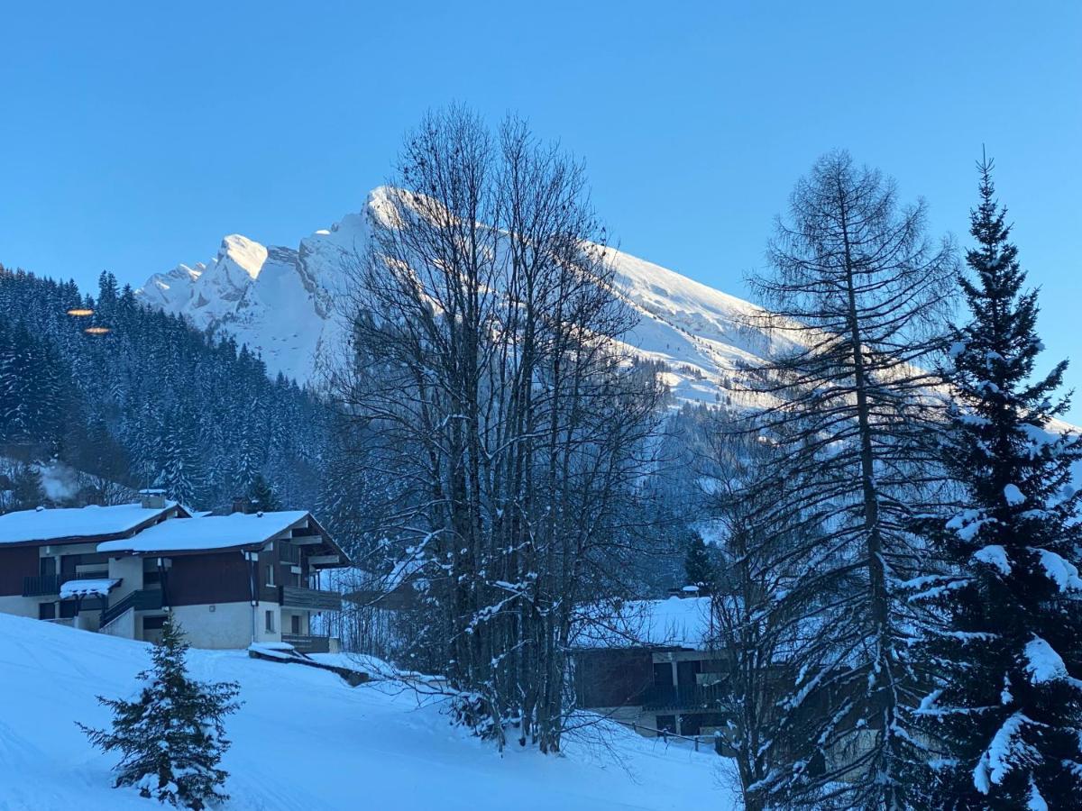 Appartement Les bouquetins à La Clusaz Extérieur photo